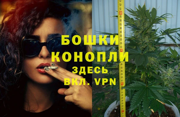 тгк Беломорск