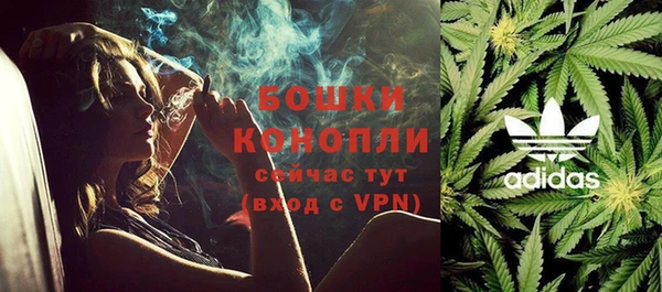 бутират Белокуриха