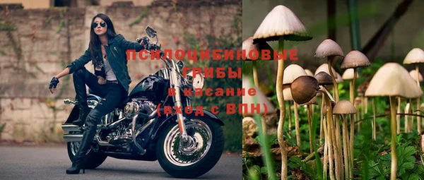 тгк Беломорск
