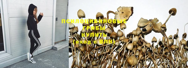 бутират Белокуриха