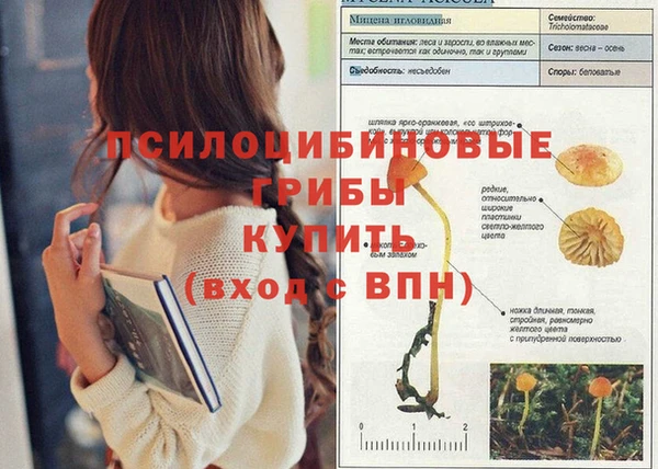 бутират Белокуриха