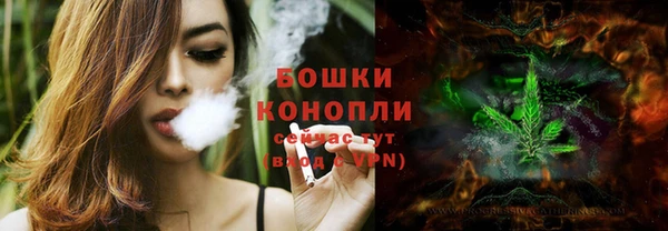 бутират Белокуриха