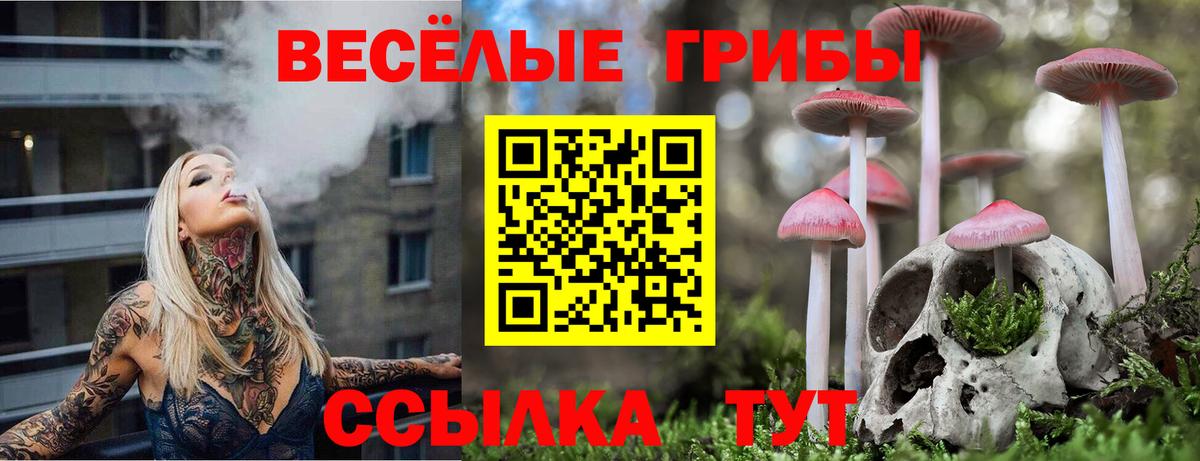 Галлюциногенные грибы мухоморы Саяногорск